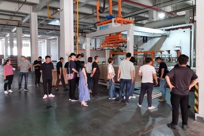 歡迎南京戰略合作定制工廠一行到訪大王椰考察交流